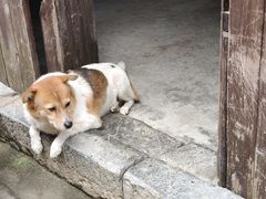 -高淳老街
