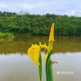 这里风景太美丨美不胜收三担湖