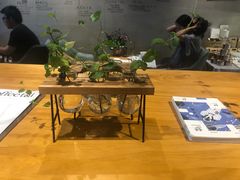 -ZING COFFEE 镜咖啡