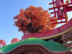 -中华郡文化旅游景区