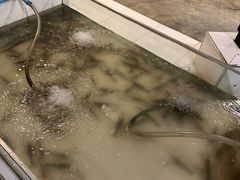 -芭提雅Amporn Seafood自助餐厅