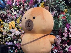 -正佳雨林生态植物园