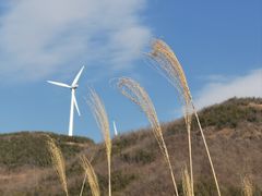 -东白山