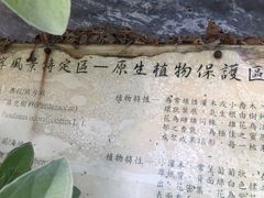 -七星潭蓝天广场