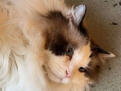 -白兔子密室(长寿路店)