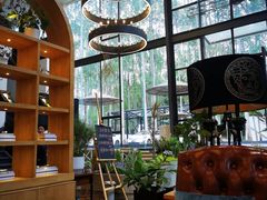 靠窗位-桉树林A coffee 森林餐厅(三圣乡店)
