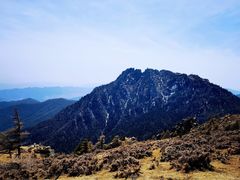 -芦芽山旅游度假区