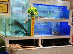 -王捌小院(红花坡店)