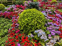 -庐山风景区花径公园