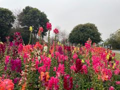 -厦门园林博览苑