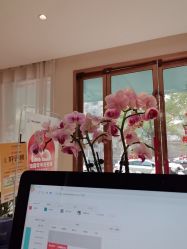-Dr.林醫生产后修复·配方产康店(南京大厂店)