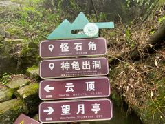 -莫干山风景区