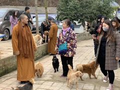 -成都爱之家动物救助中心
