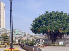 -石炮台公园