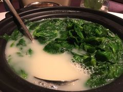 豆苗鱼汤-唐阁(香港朗廷酒店)