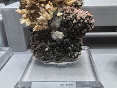 -湖南省地质博物馆