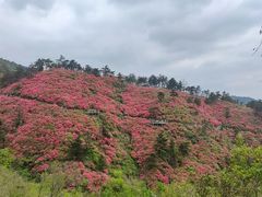 -木兰云雾山