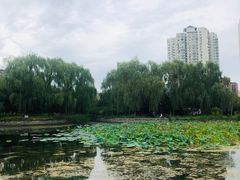 -望湖公园