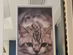 -猫先生时尚火锅(桂平路店)