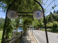 -程阳八寨景区