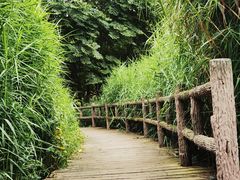 -成都市活水公园