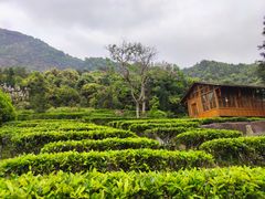 -姑婆山旅游区