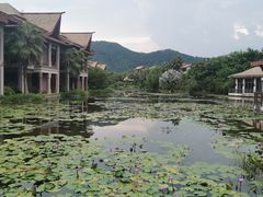 -广州从化都喜泰丽度假酒店温泉