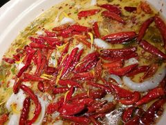 -江渔兒酸菜魚專門店(顺盈时代广场店)