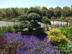 -上海鲜花港