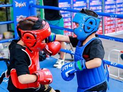 -大焱搏击·泰拳·拳击俱乐部(大柏树店)