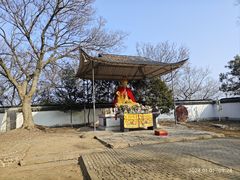 -上海佘山国家森林公园天马山园