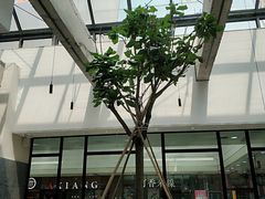 -大树餐厅(红旗街万达店)