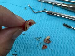 -牙博士口腔品牌连锁(杨浦店)