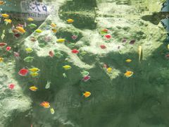 -苏州海洋馆