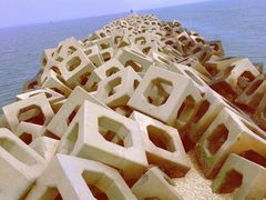 -东疆建设开发纪念公园