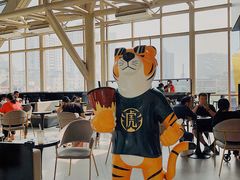 -老虎堂TIGER SUGAR