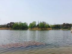 -新江湾城公园