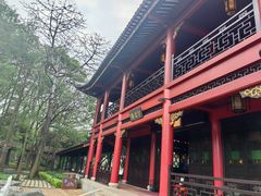 -顺峰山公园