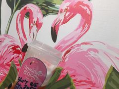 -Flamingo Bloom(TST /尖沙咀店)