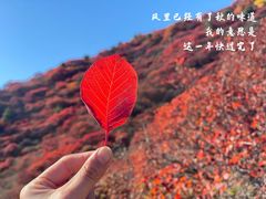 -水峪民俗村