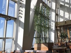 -上海柏悦酒店·世纪100牛排馆