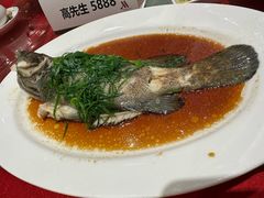 -正佳广场万豪酒店-粤菜餐厅·点心·海鲜·聚餐