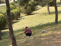 -元大都城垣遗址公园