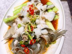 -卤鼎记·潮汕卤水火锅饭店(北京首店)