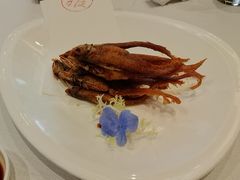 -新雅粤菜馆(南京东路店)