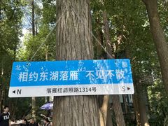 -东湖落雁景区