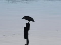 -西湖国宾馆·紫薇厅
