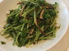 香菜拌豆皮-毛家饭店·30年融合新湘菜(无影山店)