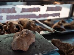 -正宗忘不了老鹅(梅岭店)