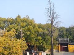 -西园寺素食(西园弄戒幢律寺店)